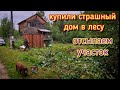 Купили дом в лесу/завозим землю на участок/жизнь с нуля.