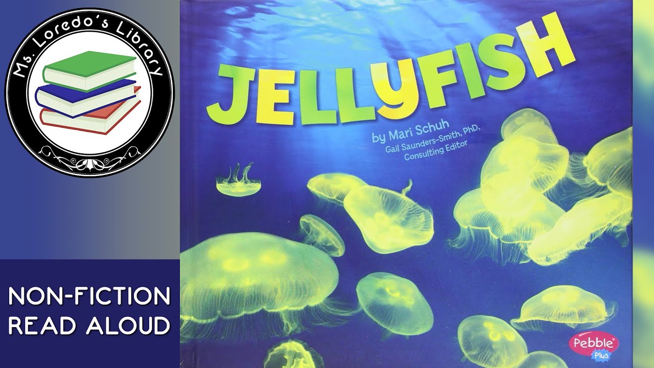 Jellyfish Non Fiction Read Aloud Youtube