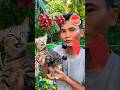 FOOD ASMR🍇🍇🍉 #shorts #reverse #food #mukbang #funny #fruit #cat #cute #pets