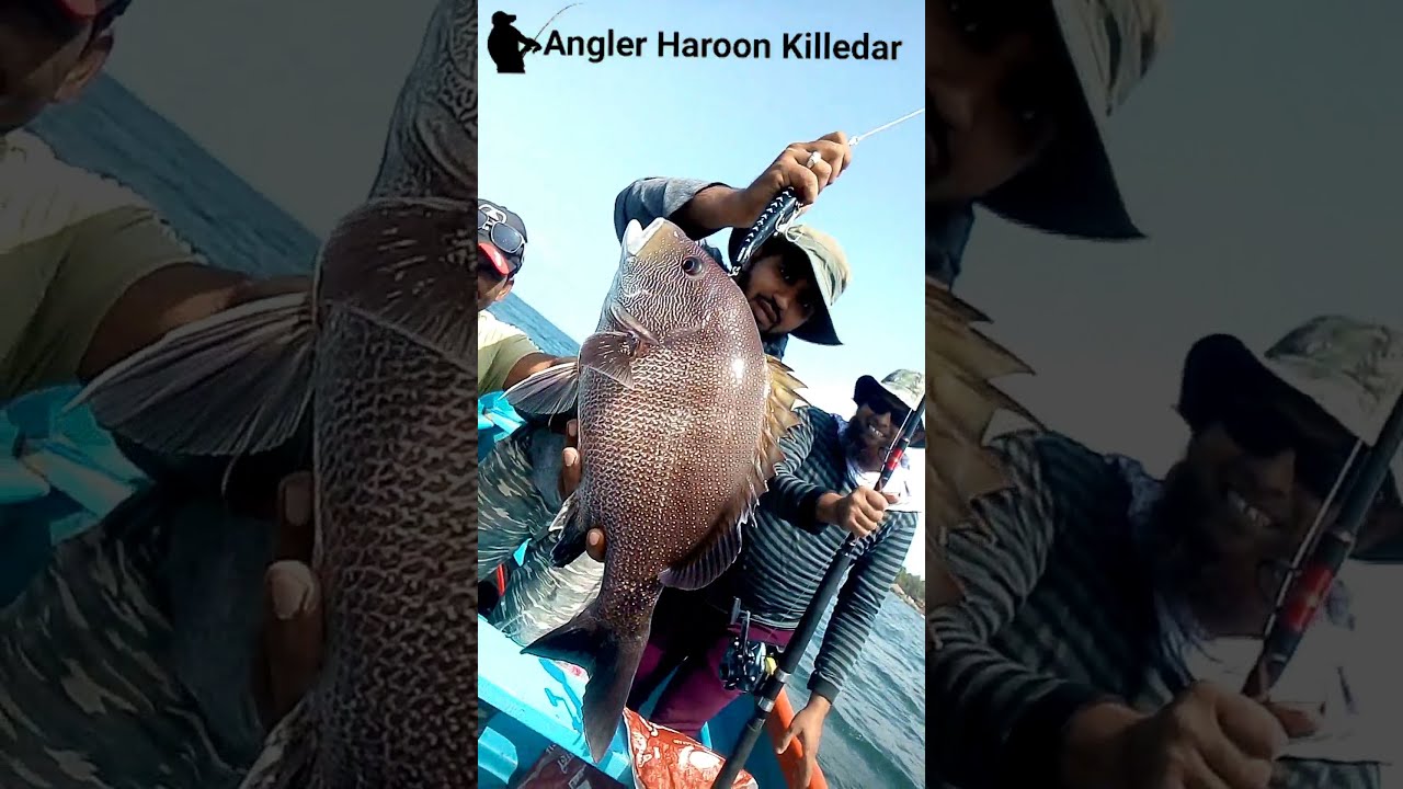 Boat fishing Malvan🐟🐟🎣🎣❤️