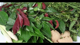 Steam bath with herbal leaves to treat colds