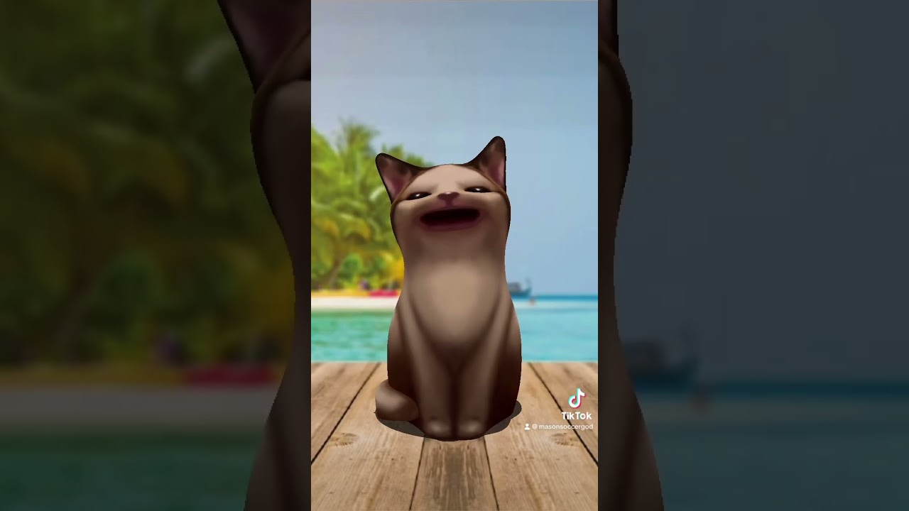 Spongebob at 3am be like