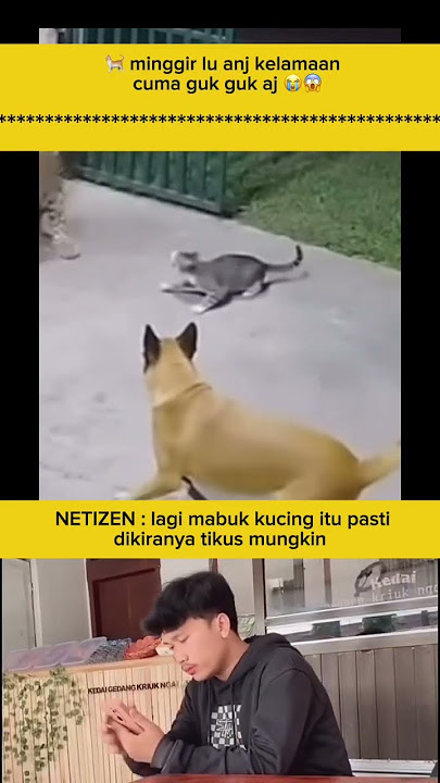 🐈 minggir lu anj kelamaancuma guk guk aj 😭😱