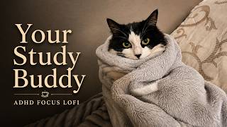 🐱 Your Study Buddy | ADHD Focus Lofi for Deep Concentration 📚 Cozy Cat Study Music screenshot 5