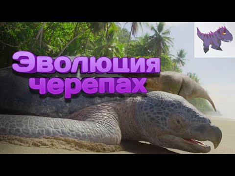 Эволюция Черепах. Как они приобрели панцирь и другое.