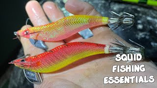 GUIDE TO SQUID JIGGING - EASY ESSENTIALS that EVERYONE CAN USE to catch MORE SQUID