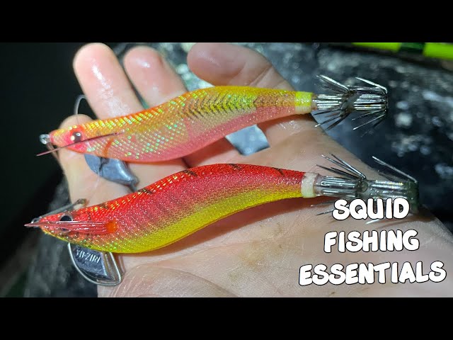 GUIDE TO SQUID JIGGING - EASY ESSENTIALS that EVERYONE CAN USE to catch  MORE SQUID 