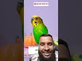 Salik pakhir Moto bajigar Pakhi Kotha Bole # short #funny