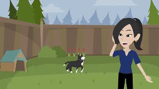 Vishing: Animated | 3 Tips