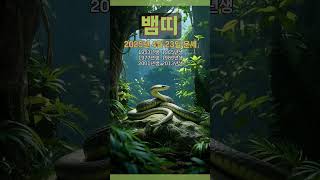 [2025년 4월 23일 뱀띠 오늘의운세] 부정적인 생각은 떨쳐야 원하는 바를 이룰 것이다. #뱀띠 #운세 …