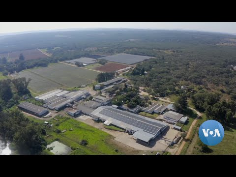 Solar Crowdfunding Project Benefiting Zimbabwe's Farmers.