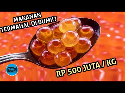 Video: Apakah kaviar rasanya enak?