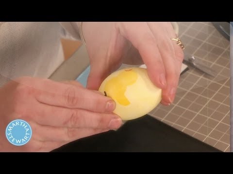 Egg Dyeing Martha Stewart-11-08-2015