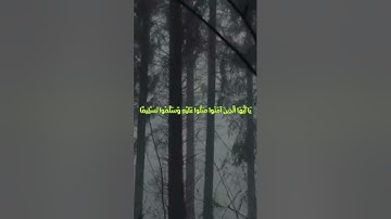 إن الله وملائكته يصلون على النبي ﴾ #سورة_الاحزاب #سعد_الغامدي #تلاوة_خاشعة