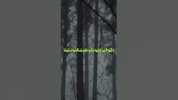 إن الله وملائكته يصلون على النبي ﴾ #سورة_الاحزاب #سعد_الغامدي #تلاوة_خاشعة
