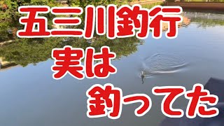 バス釣り 五三川 22年6月上旬 岐阜県にある五三川にてブラックバスの生息調査釣行です ひょう釣りちゃんねる 魚釣り系you Tuberまとめサイト Fishing