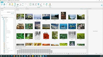 FOREVER HISTORIAN OVERVIEW