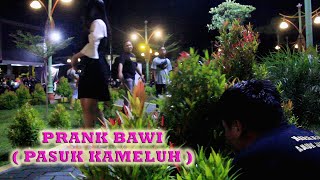 Kisah Tanjaru Ep 9 ( Prank bawi )