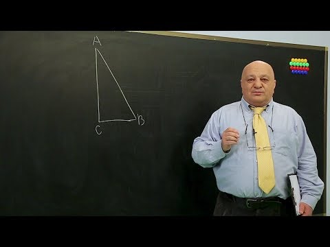 ცვანციკას ონლაინ გაკვეთილები - სინუსი, კოსინუსი