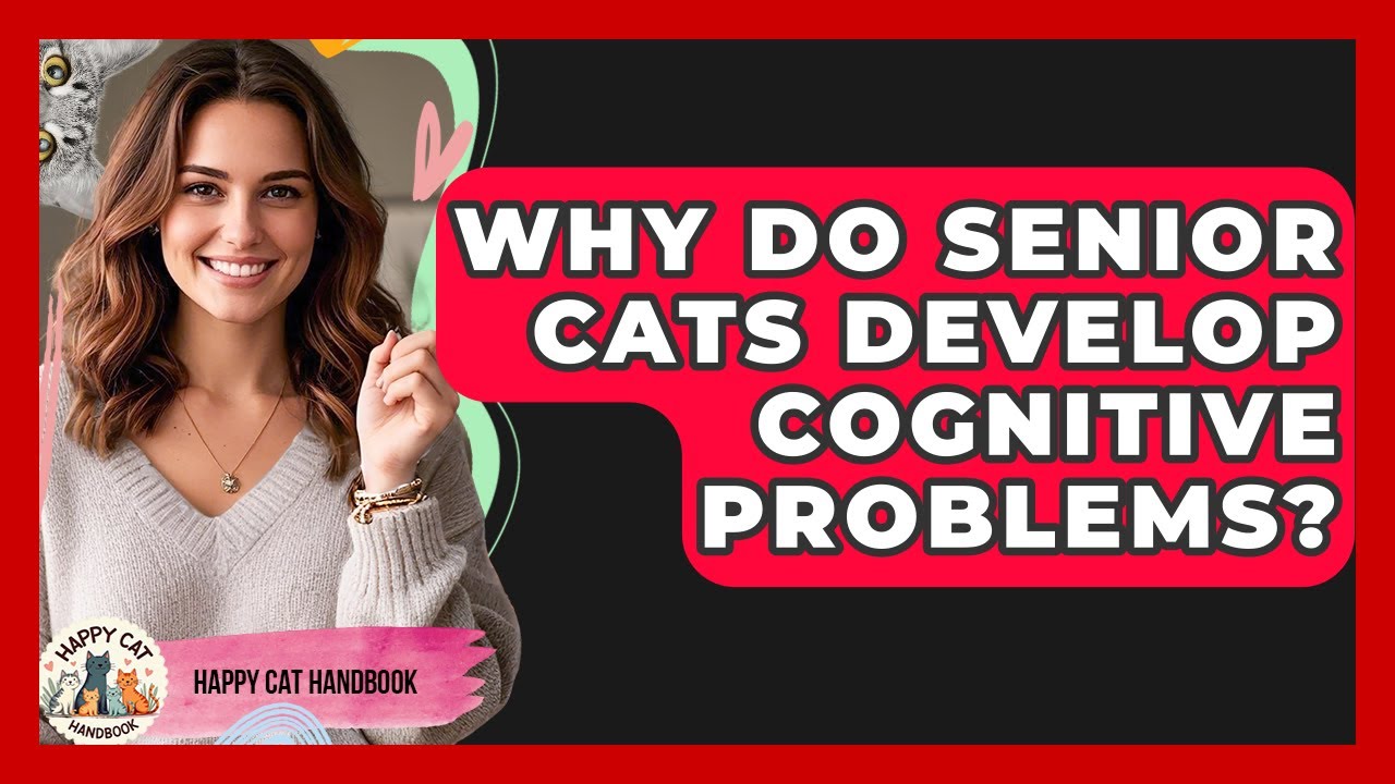 Why Do Senior Cats Develop Cognitive Problems? - Happy Cat Handbook