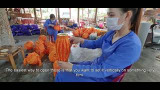 Vinacreations- How to open the lantern