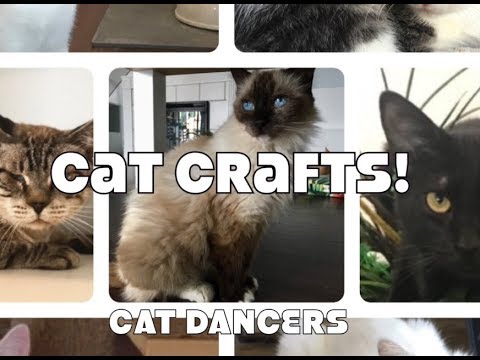Cat Crafts: Cat Dancers