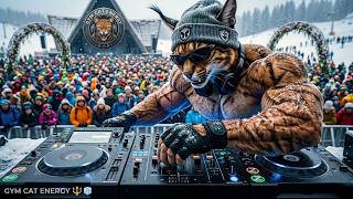 BRAZILIAN BASS WORKOUT MIX 2026 🧊 WINTER EDITION | GYM CAT ENERGY