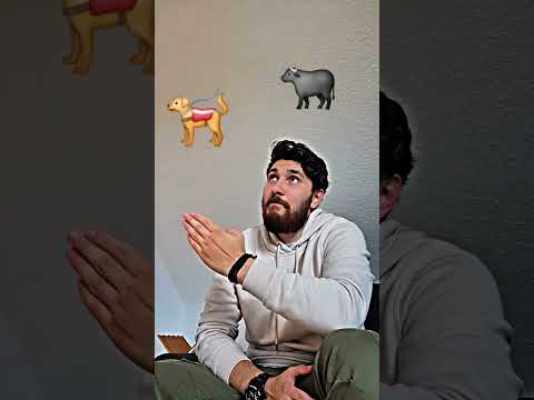 حبت ثور حبت كلب حبت واحد ما ينحب اغاني ترند اغاني    اكسبلور يوتيوب  