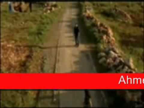 قالتلى نبعد تامر حسني 