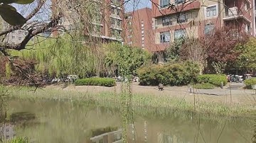 CES Asia 2026 Booth Designer and Contractor YOHO EXPO