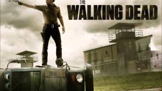 Run - Willy Mason (The Walking Dead: Songs Of Survival) chords