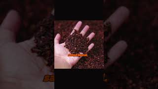 7 Health Benefits of Cloves #homeremedies #naturalmedicine #remedies