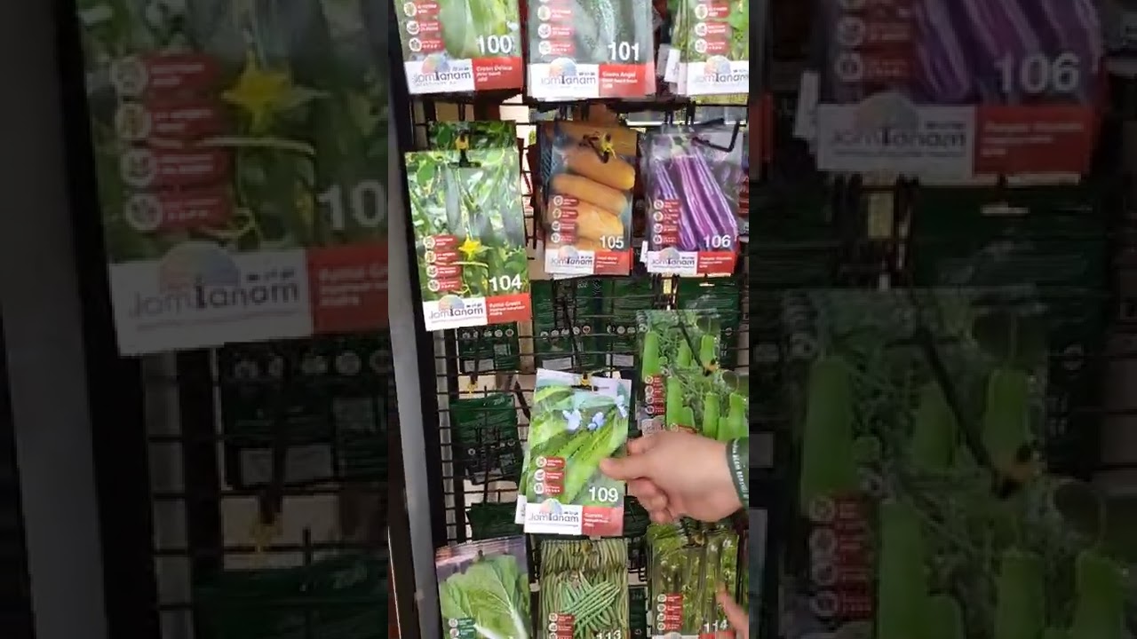 Benih sayur - sayuran