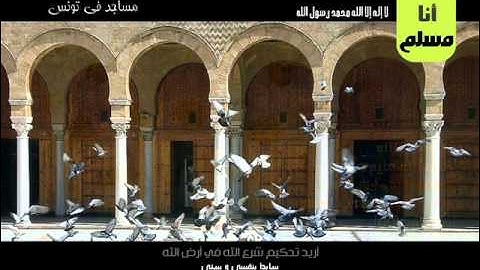 صلاة العشاء مع التراويح سورة يوسف من مسجد أحد