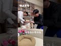 大好きな親友登場