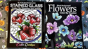 Flip Throughs Of Two Beautiful  Color Questopia  Color By Number Books- Flowers and Stained Glass