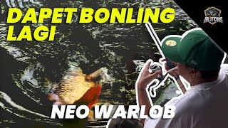 Download Lagu SENAR 0.12 VS BABON 4,85KG : SIAPA YANG MENANG ?HASIL NYA BIKIN KAGET !!! MP3