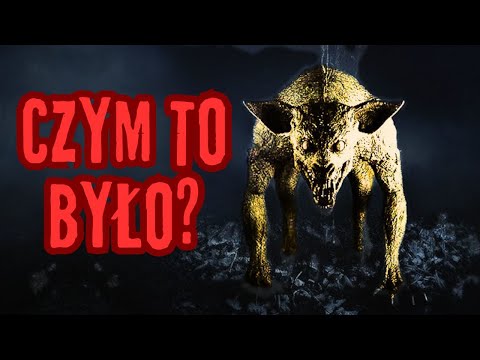 Każdy to widział? Ludzie na całym świecie... - Chupacabra