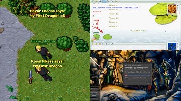 THE FIRST DRAGON, MSN AND QUEUE (Secura 2008 8.1)