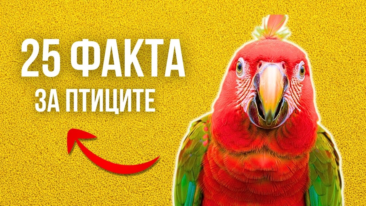 25 НЕВЕРОЯТНИ ФАКТА ЗА ПТИЦИТЕ, КОИТО ЗВУЧАТ КАТО ИЗМИСЛИЦА