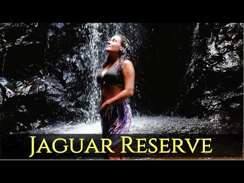 Belize Jaguar Reserve - Cockscomb Basin Wildlife Sanctuary