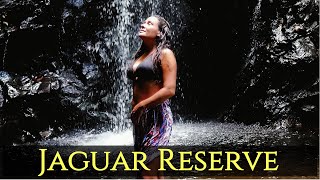Career Overview Belize Jaguar Reserve - Cockscomb Basin Wildlife Sanctuary