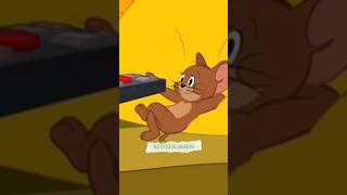 funny Tom and Jerry and real cat and mouse ?