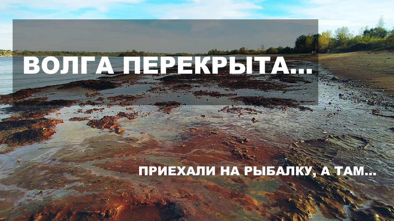 Катастрофа на волге 2011