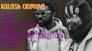 Kalash Criminel-Year's top hits roundup: Hits 2024 Collection-All-Time Favorite Playlist-Cohere