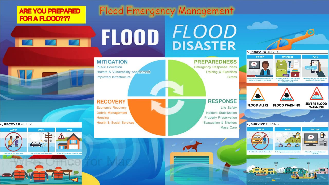 project on disaster management flood