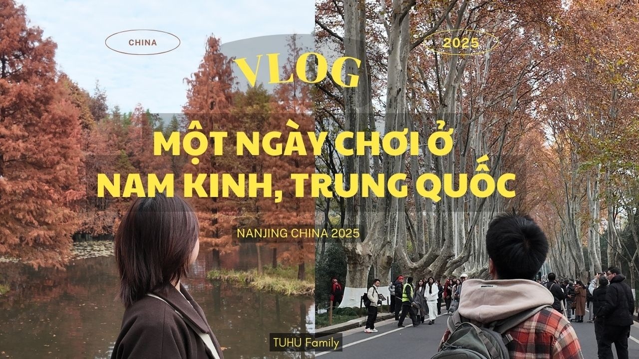 China 25 || Thực hiện mong muốn ngắm Mùa thu Đại Lộ Nam Kinh, Trung Quốc