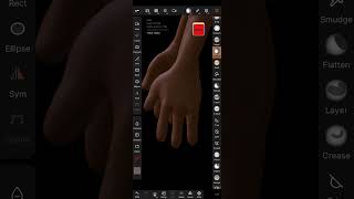 teddy sculpt on phone