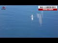 【速報】海自ヘリ2機墜落、衝突か 伊豆諸島・鳥島東方