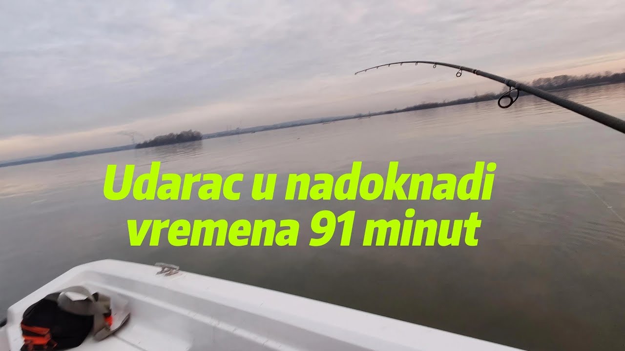 Pecanje smudja * Zimsko muvanje na kedera